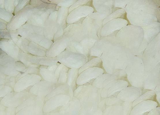 जानें नवरात्रि में कलश स्थापना का शुभ मुहूर्त और इसके नियम