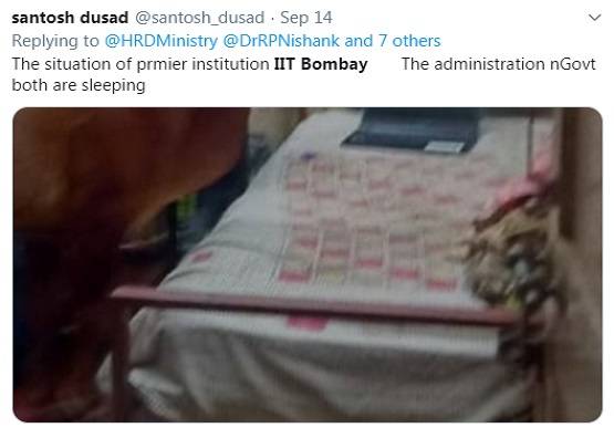 IIT बॉम्बे के हॉस्टल में घुसी गाय, चबा गई किताब...PHOTOS