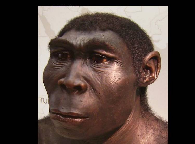 चपटी नाक, सिर्फ 3 दांत, एक लाख साल पहले ऐसे दिखते थे हम