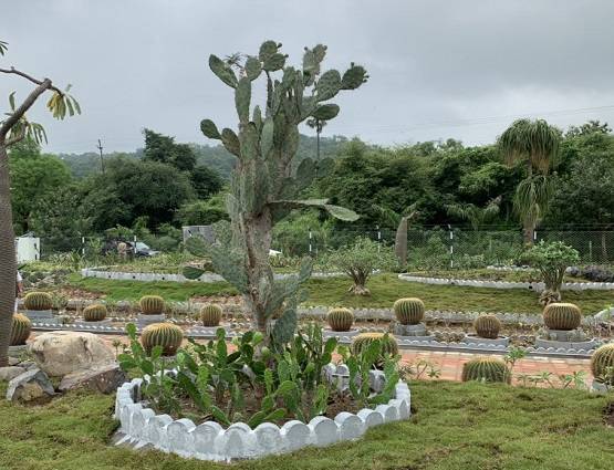 PM मोदी ने जिस कैक्टस गार्डन का किया उद्घाटन, जानें खासियत