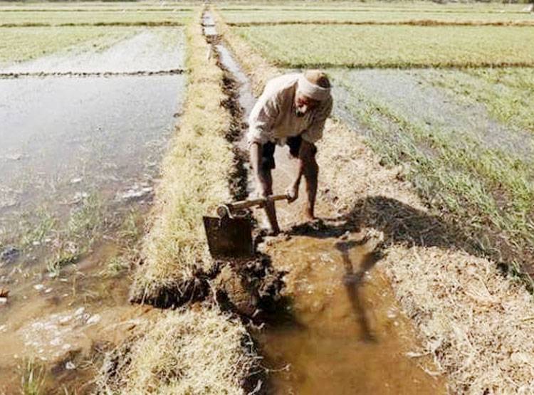 500 से भी कम खर्च, फायदे कई...PM मोदी की 5 स्‍कीम का उठाएं लाभ