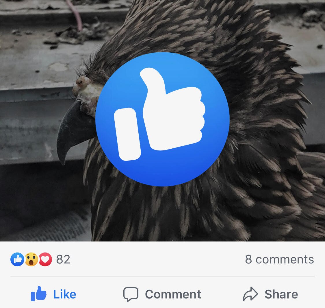 Facebook का ये फीचर गायब होने वाला है, आपके अकाउंट पर होगा ये असर