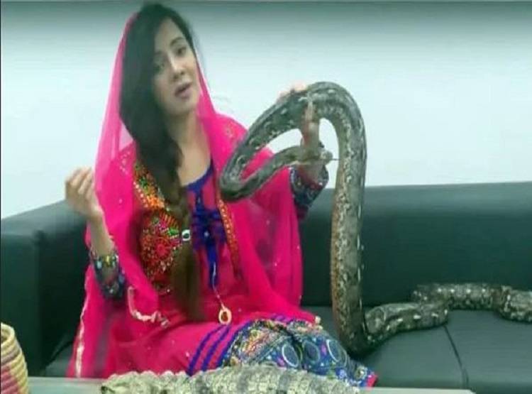 PM मोदी को धमकी देने वाली PAK सिंगर के बुरे दिन, हो सकती है जेल