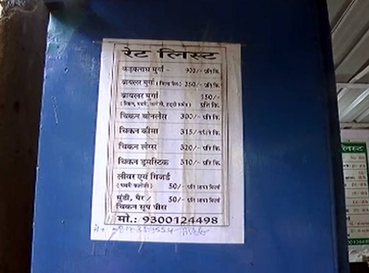 कड़कनाथ मुर्गे की क्यों है डिमांड, कमलनाथ सरकार कर रही सेल