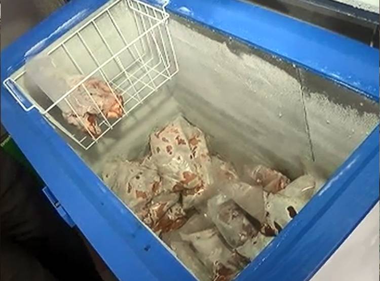 कड़कनाथ मुर्गे की क्यों है डिमांड, कमलनाथ सरकार कर रही सेल