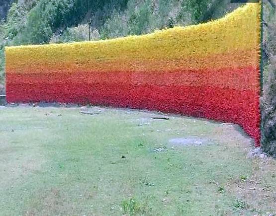 प्लास्टिक रीसाइक्लिंग के 5 क्रिएटिव आइडिया, स्वच्छ रहेगी प्रकृति