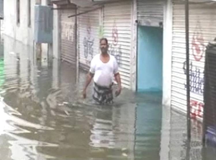 साड़ी में स्वीम‍िंग करने लगी मह‍िला, घर में घुसा था बाढ़ का पानी