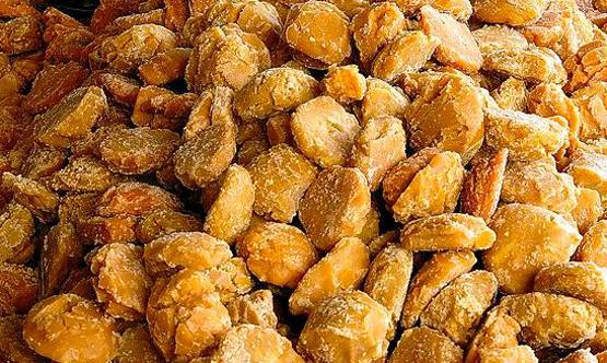 न जिम, न डाइटिंग, इस चीज को खाने से कम होगा मोटापा