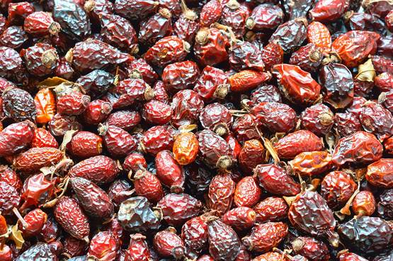 वजन घटाना चाहते हैं तो रोज खाएं ये 5 ड्राई फ्रूट्स, नहीं करनी पड़ेगी डाइटिंग