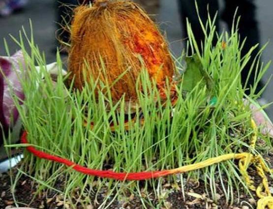 सेहत के लिए कितनी फायदेमंद जौ? डाइट में शामिल कर 5 रोगों से रहें दूर