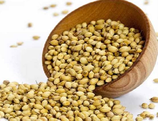 धनतेरस पर खरीदें इनमें से एक चीज, लक्ष्मी-कुबेर की बरसेगी कृपा