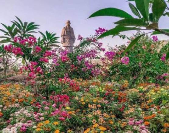 जानें दुनिया की सबसे ऊंची मूर्ति 'स्टैच्यू ऑफ यूनिटी' के खास फैक्ट