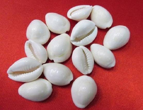 धनतेरस पर खरीदें इनमें से एक चीज, लक्ष्मी-कुबेर की बरसेगी कृपा