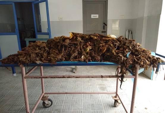 गाय के पेट से निकला इतना प्लास्टिक कि दंग रह गए डॉक्टर