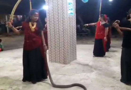 ...जब हाथ में कोबरा लेकर लड़कियों ने किया गरबा डांस