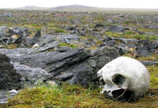 कार के बोनट पर रोमांस करता दिखा न्यूड कपल, तस्वीरें वायरल