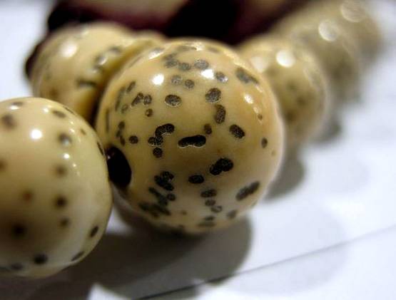 दिवाली से पहले इन 9 चीजों को लाएं घर, होगा लाभ ही लाभ