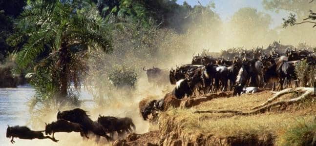 वो 42 खूबसूरत देश जहां वीजा का कोई झंझट नहीं!