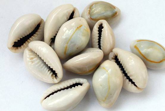 दिवाली से पहले इन 9 चीजों को लाएं घर, होगा लाभ ही लाभ