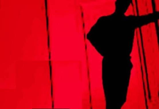 नौ महीने की बिल्ली का कई बार किया रेप, फिर मोम से लगा दी आग