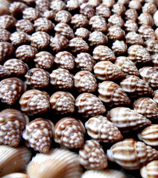 दिवाली से पहले इन 9 चीजों को लाएं घर, होगा लाभ ही लाभ