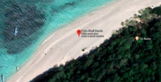 धागे के बराबर बिकिनी पहन घूम रही थी टूरिस्ट, पुलिस ने किया अरेस्ट