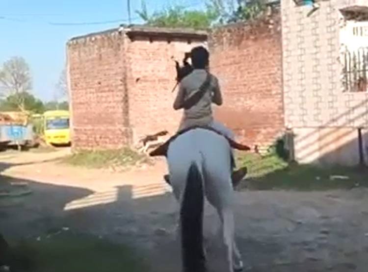 10 साल के बच्चे ने गले में कारतूस की बेल्ट डाल घोड़े पर लगाया चक्कर