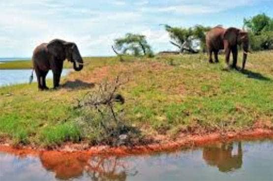 वो 42 खूबसूरत देश जहां वीजा का कोई झंझट नहीं!