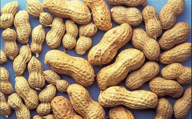 लड़की को खाने में परोसी मूंगफली, रेस्टोरेंट पर 3.5 लाख का जुर्माना