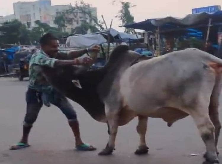 सड़क पर दिखा 'बाहुबली का भल्लालदेव', सांड को सेकेंड में चटा दी धूल