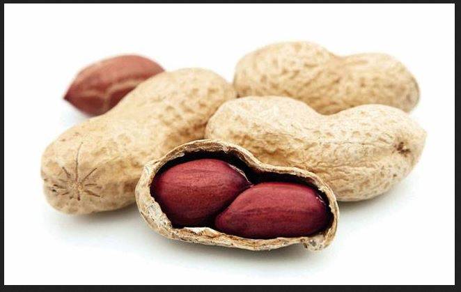 लड़की को खाने में परोसी मूंगफली, रेस्टोरेंट पर 3.5 लाख का जुर्माना