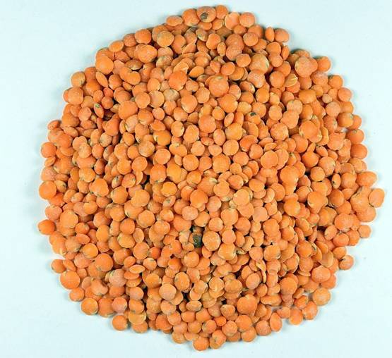 कार्तिक पूर्णिमा पर दान का महत्व, भूलकर भी न करें ये 8 काम