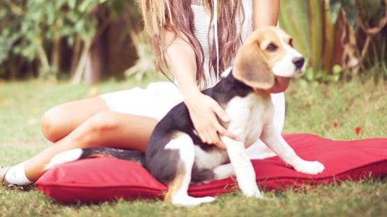 कुत्ते के चाटने भर से हो गई इंसान की मौत, डॉक्टर भी हैरान