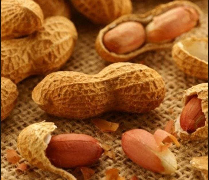 लड़की को खाने में परोसी मूंगफली, रेस्टोरेंट पर 3.5 लाख का जुर्माना