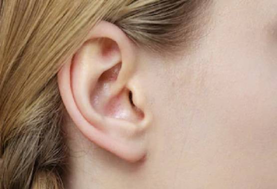 कान में हो रही थी खुजली, डॉक्टर ने देखा तो उड़े होश निकले 10 कॉकरोच