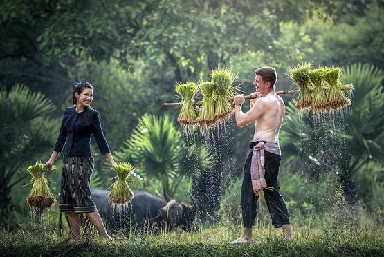 डॉक्टर, वकील, टीचर... जानें पेशे से कैसे जुड़ी है आपकी सेक्स लाइफ?