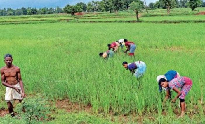 12 साल की बच्ची के पेट में घुसा हंसिया, डॉक्टरों ने ऐसे बचाई जान