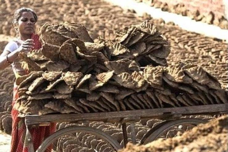 अमेरिका के स्टोर में गोबर के मेड इन इंडिया उपले, जानिए कीमत