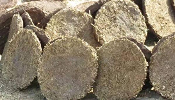 अमेरिका के स्टोर में गोबर के मेड इन इंडिया उपले, जानिए कीमत