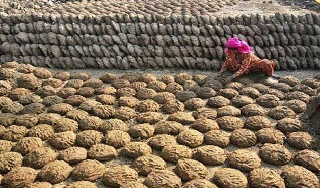 अमेरिका के स्टोर में गोबर के मेड इन इंडिया उपले, जानिए कीमत