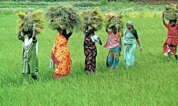 12 साल की बच्ची के पेट में घुसा हंसिया, डॉक्टरों ने ऐसे बचाई जान