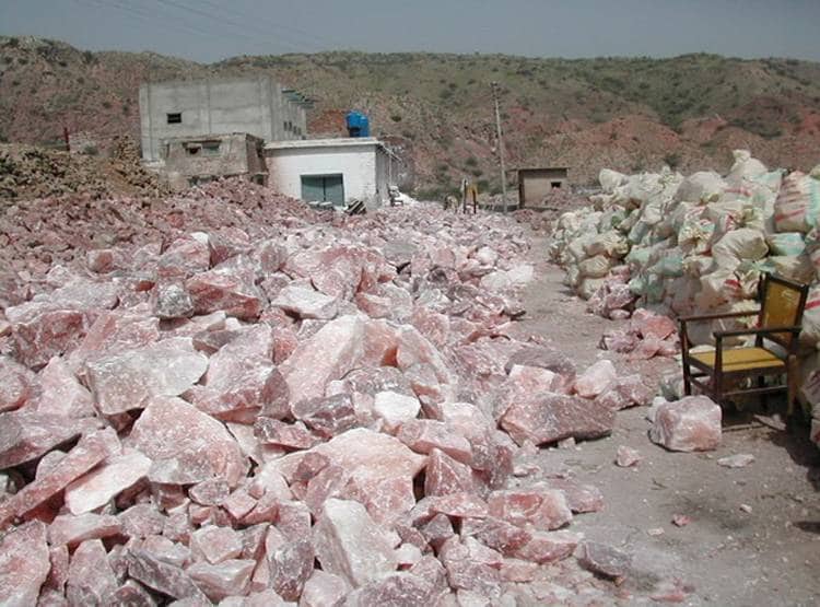 'मेड इन इंडिया' नमक से लगी पाक को मिर्ची... जानिए क्या है वजह?