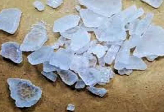 कान में हो रही थी खुजली, डॉक्टर ने देखा तो उड़े होश निकले 10 कॉकरोच