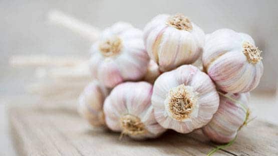 हर पुरुष को अपनी डाइट में शामिल करनी चाहिए ये 18 चीजें