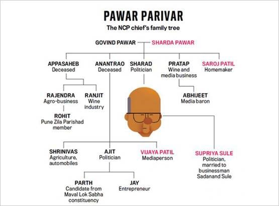 इतना बड़ा शरद पवार का परिवार, चाचा को छोड़ भतीजे ने बनाई सरकार