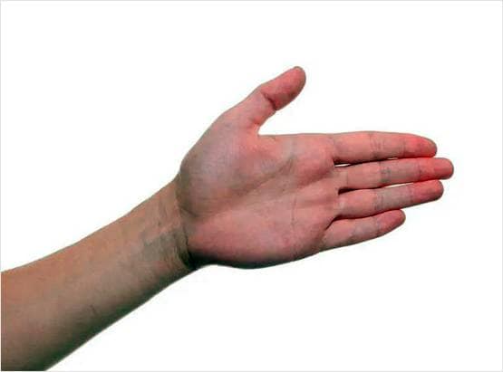 जानिए, आपके बारे में क्या बताता है आपकी हथेली का रंग?