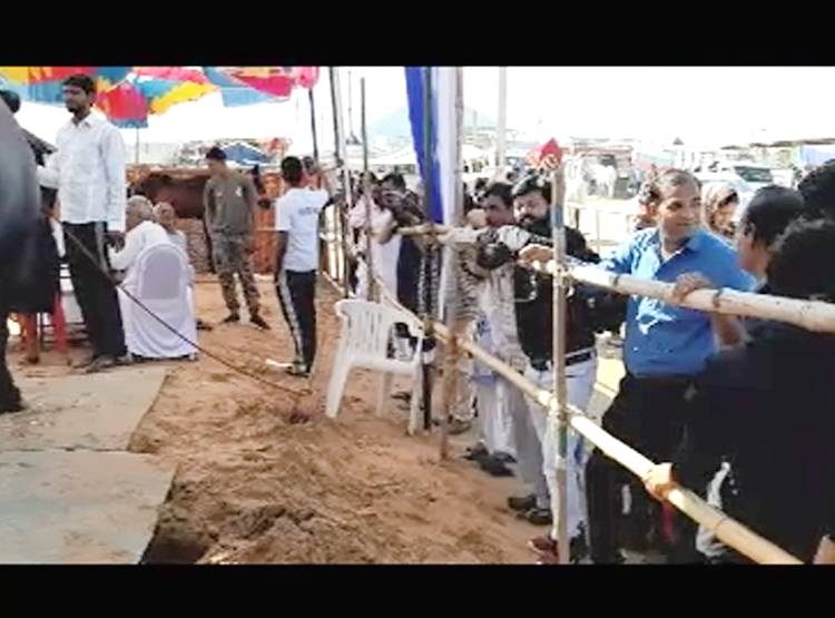 15 करोड़ का भैंसा, पीता है 1 क‍िलो घी, खाता है बादाम