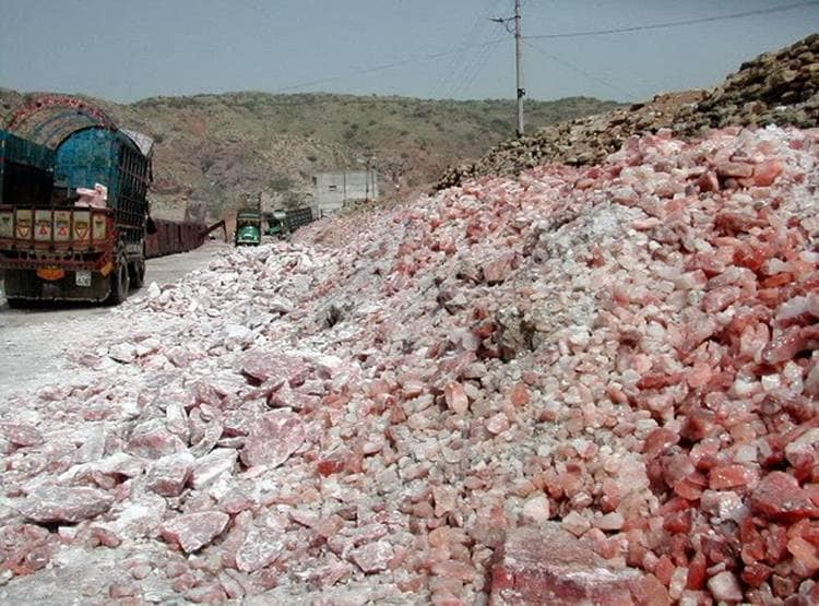 'मेड इन इंडिया' नमक से लगी पाक को मिर्ची... जानिए क्या है वजह?