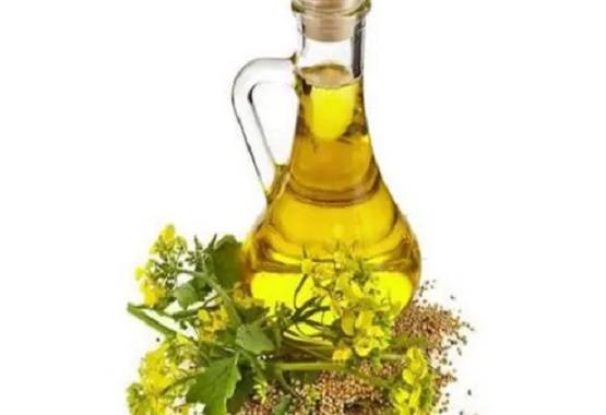 कान में हो रही थी खुजली, डॉक्टर ने देखा तो उड़े होश निकले 10 कॉकरोच