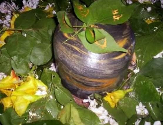 देव दिवाली पर इन उपायों से प्रसन्न होंगी मां लक्ष्मी, बढ़ेगी समृद्धि